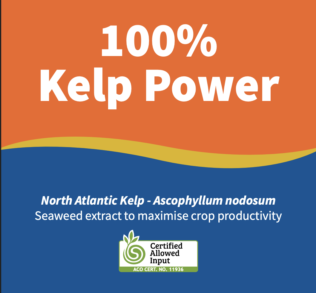 100% Kelp Powder™ product