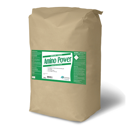 Amino Power product