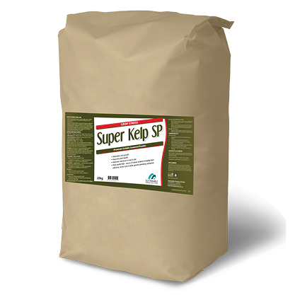 Super Kelp SP product