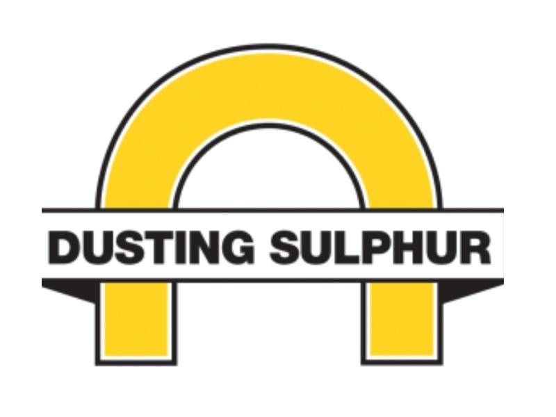 Dusting Sulphur product